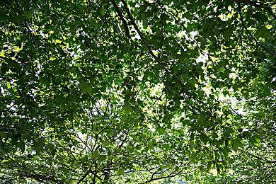 任天堂员工新作《欧米茄 6：三角星域》确定发售日