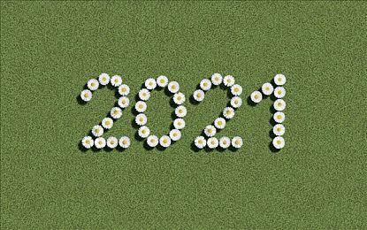 《雾锁王国》第六弹免费更新发布 黑夜探索新内容