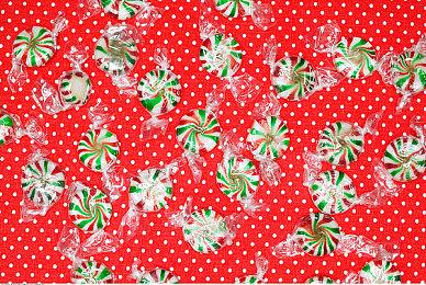 点触解谜游戏《深林》Steam页面 支持简体中文